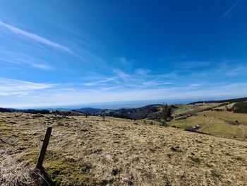 Scenic view of field against blue sky