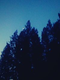 Low angle view of silhouette trees against clear blue sky