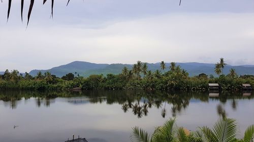 Scenic view of lake by trees against sky