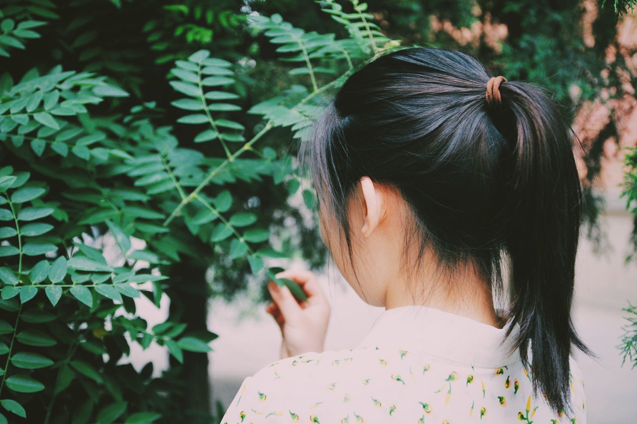 headshot, lifestyles, focus on foreground, leisure activity, young adult, long hair, close-up, young women, leaf, waist up, person, day, brown hair, head and shoulders, outdoors, tree, plant, nature