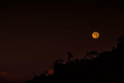 Low angle view of moon in sky at night