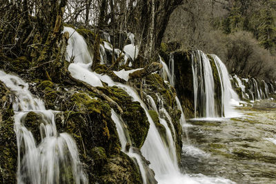 Scenic view of waterfall in forest