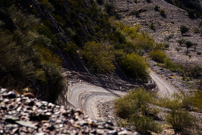 Aerial view of road on mountain