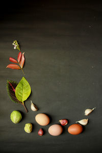 High angle view of flowers and leaves on table