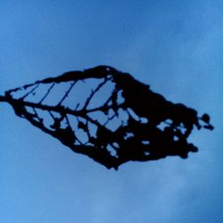 Close-up of butterfly against clear blue sky