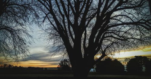 Silhouette trees on landscape against sky at sunset