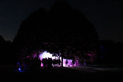 Silhouette trees against sky at night