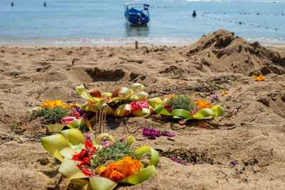 Close-up balinese religion offering on beach