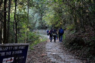 Rear view of people walking on footpath in forest