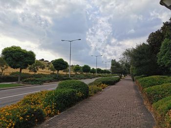 Street amidst trees against sky in city