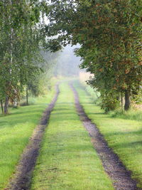 Road amidst trees on field