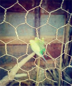 Full frame shot of chainlink fence