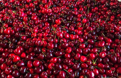 Full frame shot of red berries