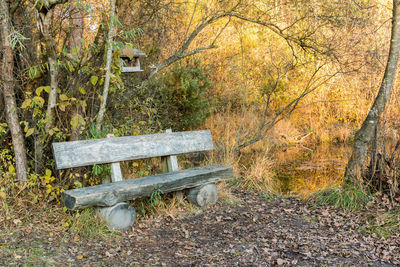 Empty bench in park during autumn