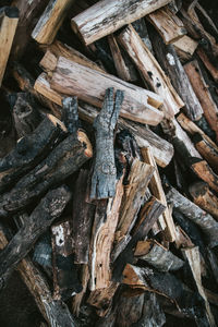 Full frame shot of logs in forest