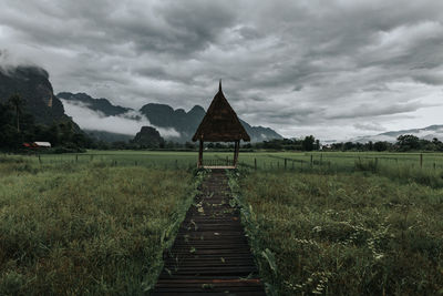 Green rice field and mountain background, vang vieng ,laos