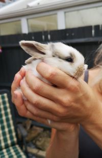 Close-up of hand holding hands at home