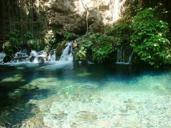 Scenic view of waterfall
