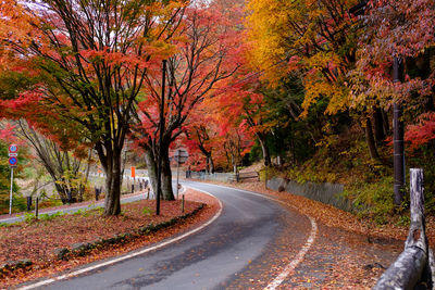 Road amidst trees during autumn