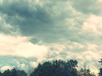 Low angle view of trees against sky