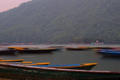 Boats moored on lake against trees