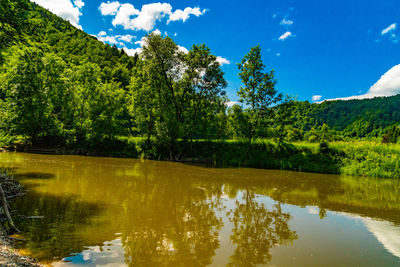 Scenic view of lake in forest against sky