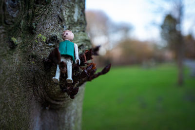 Close-up of stuffed toy on tree trunk