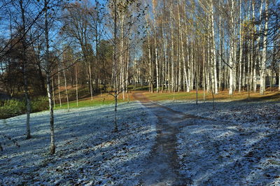 Road amidst bare trees against clear sky