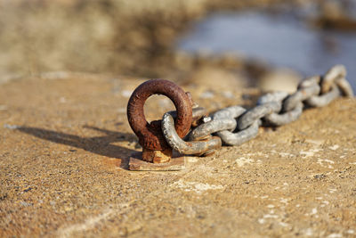 Anchor hook and chain for boat
