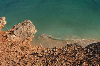 High angle view of crab on rock by sea