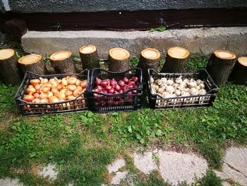 High angle view of fruits in basket