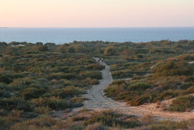 Scenic view of sea and field against clear sky during sunset