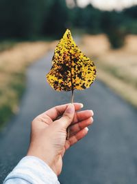 Cropped hand of woman holding yellow leaf