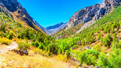 mountain