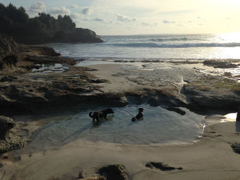 Scenic view of beach against sky