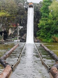 Bridge over river amidst trees