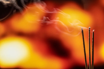 Close-up of fire burning in temple