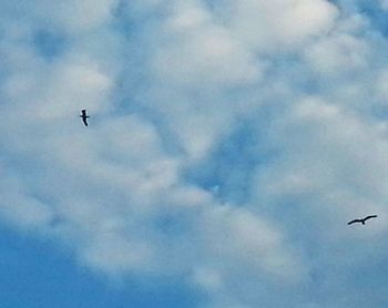 Low angle view of birds flying against cloudy sky