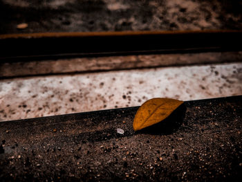 High angle view of railroad tracks