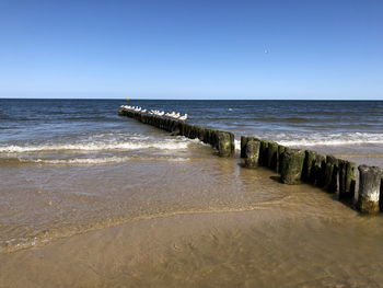 Scenic view of sea against clear sky