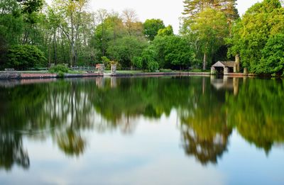 Reflection of trees in lake