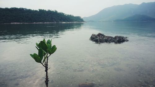 Scenic view of lake by mountain against sky