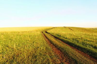 Scenic view of field against clear sky