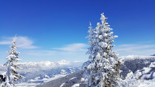 Low angle view of snowcapped mountains against clear blue sky