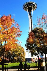 Low angle view of trees against sky during autumn