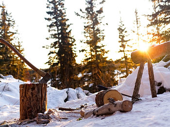 Trees on snow covered field against sky during sunset