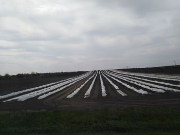 Road leading towards agricultural field against sky