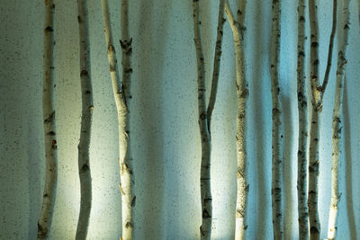 Full frame shot of weathered wall