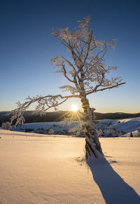 Scenic view of snowcapped landscape against clear sky