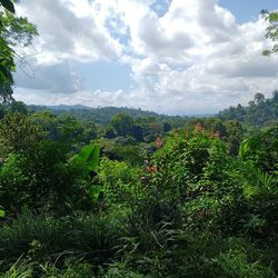 Scenic view of landscape against cloudy sky